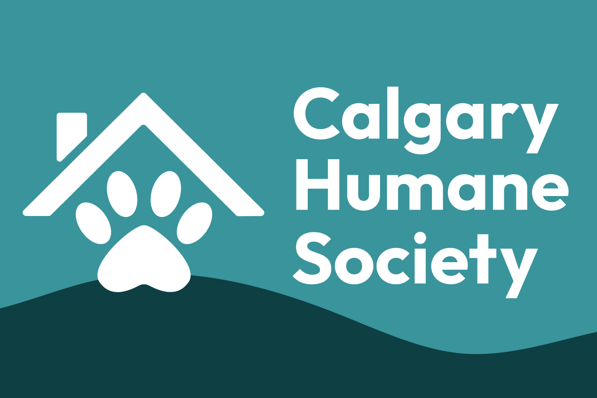 Calgary Humane Society in a dark teal and light teal mixed background