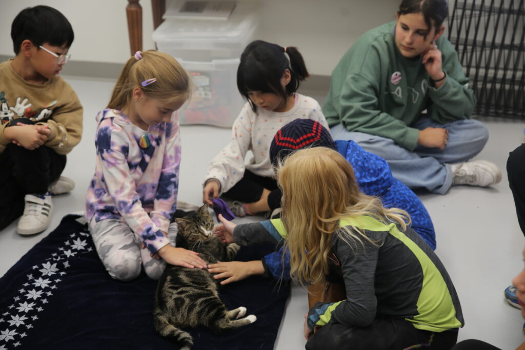 PD Day Camps | Calgary Humane Society