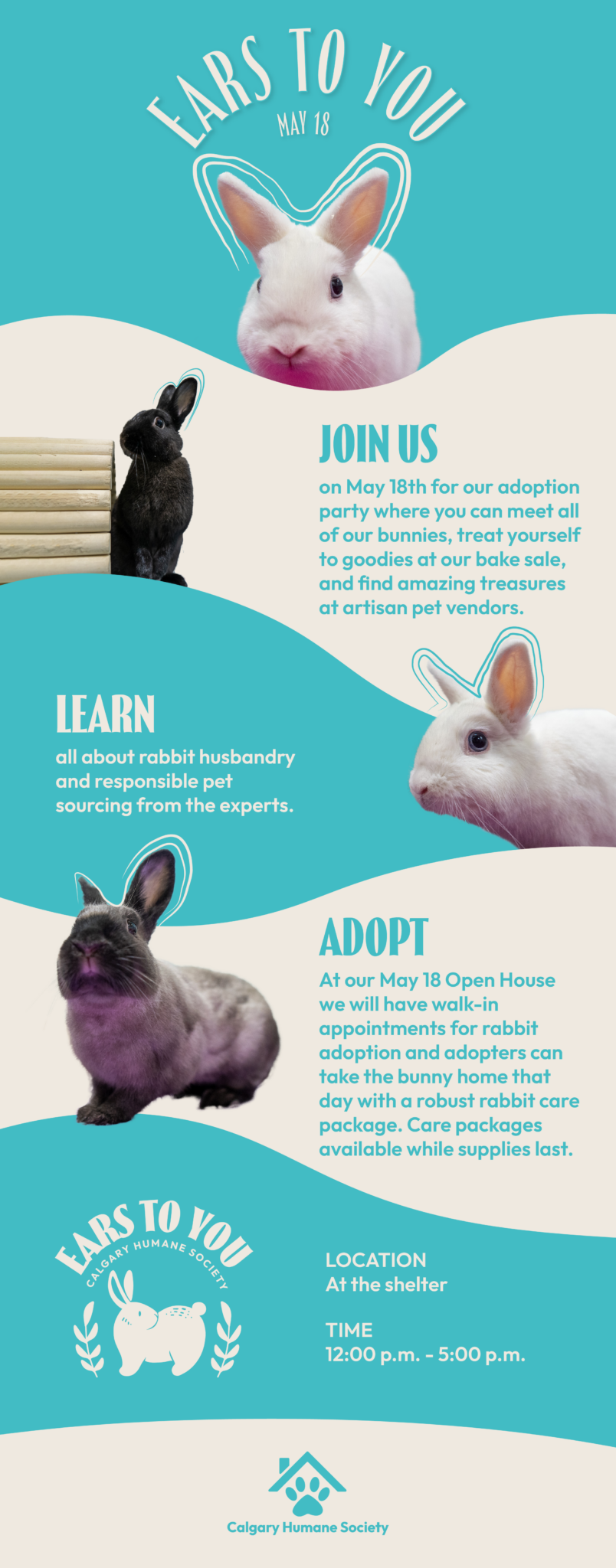 Rabbit Adoption Party May 18 | Calgary Humane Society