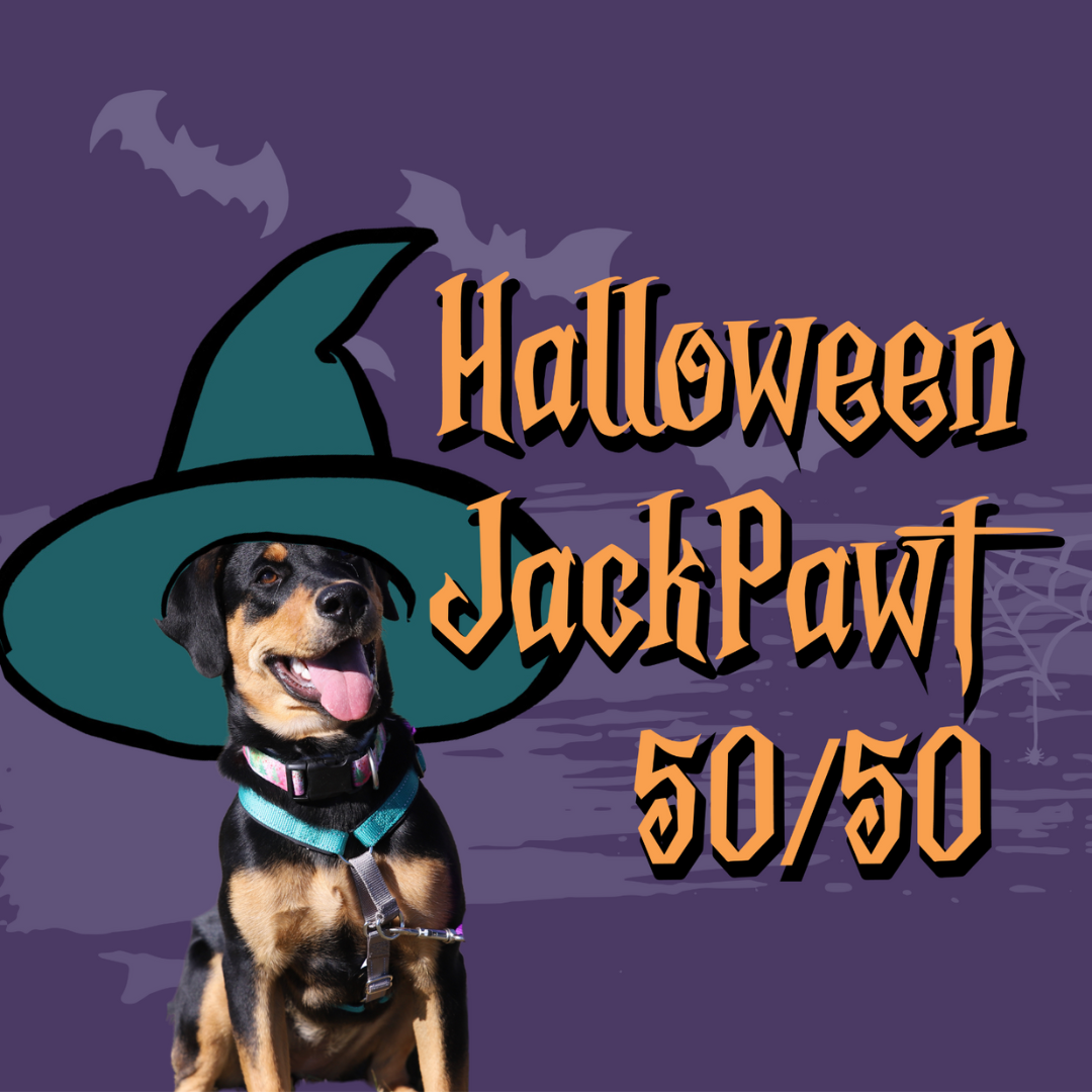 Halloween JackPAWT- Congratulations to our Winner!