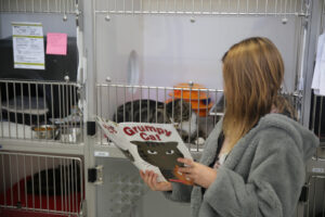 Young girl reads a book to a cat 