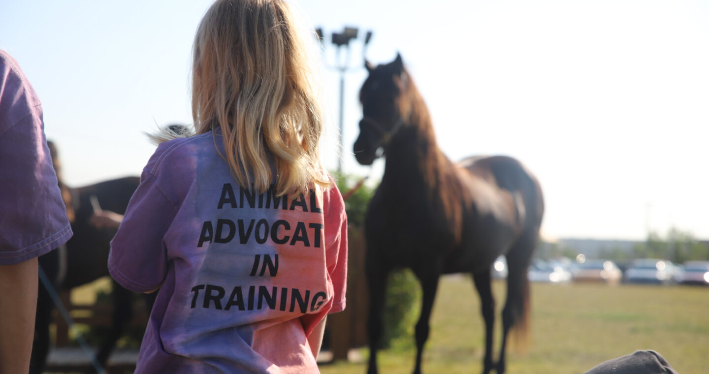 Young girl looks at horse in distance