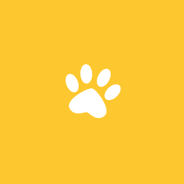 Patient Paw logo