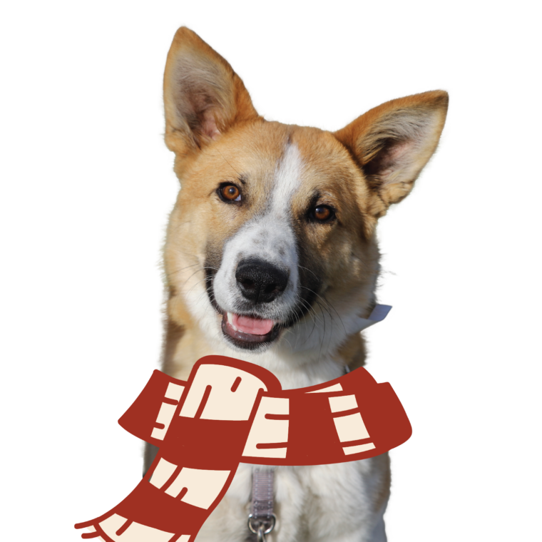 Illustrated image of a large dog with a drawn red scarf.