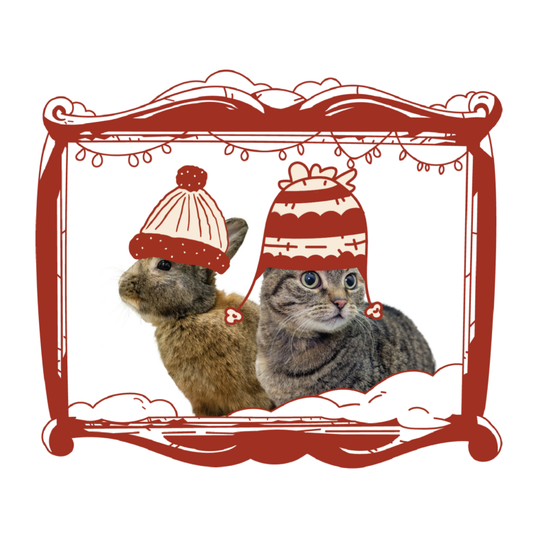 Image of two cats in an illustrated frame and hats.